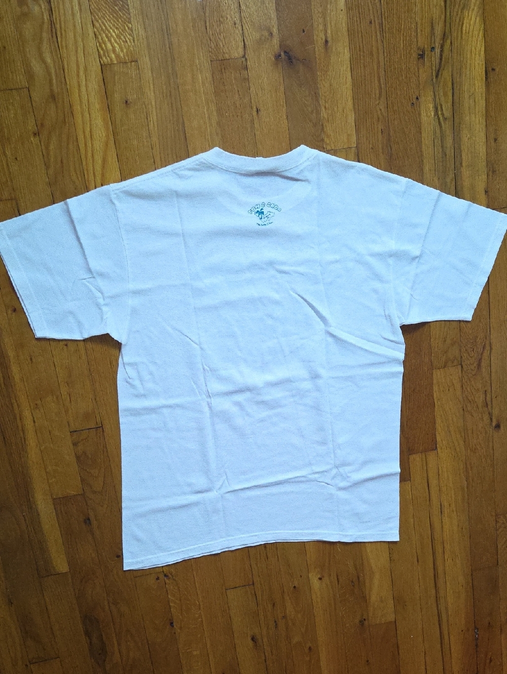 Anvil White T-Shirt with Teal St. Barth Graphic - Picture 2 of 3